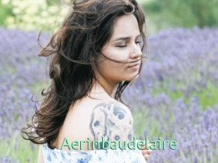 Aerinbaudelaire