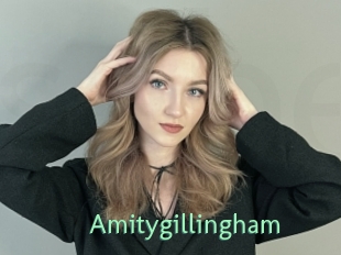 Amitygillingham