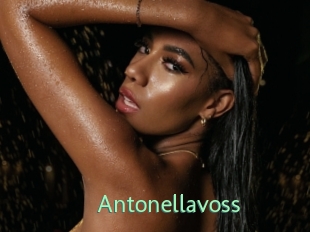 Antonellavoss