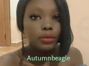 autumnbeagle Sexybeurettes