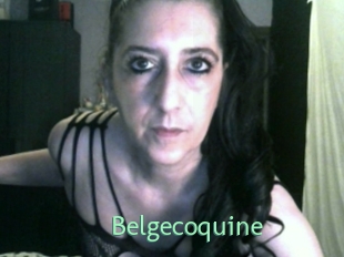 Belgecoquine