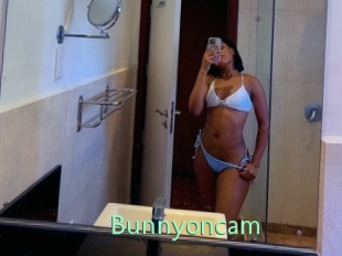 Bunnyoncam