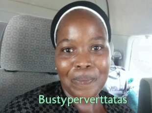 Bustyperverttatas