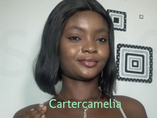 Cartercamelia