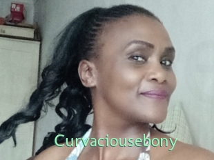 Curvaciousebony