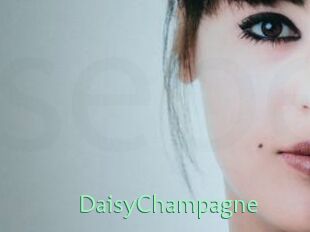 DaisyChampagne