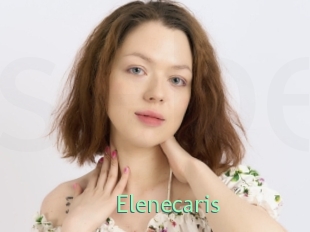 Elenecaris