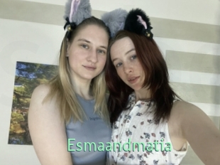 Esmaandmatia