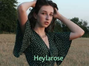 Heylarose