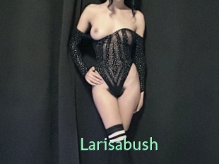 Larisabush