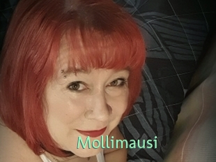 Mollimausi