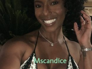 Mscandice
