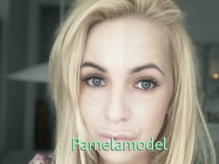 Pamelamodel