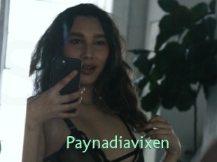 Paynadiavixen
