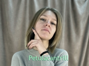 Petulacantrill