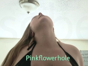 Pinkflowerhole