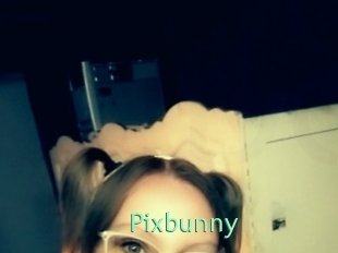 Pixbunny