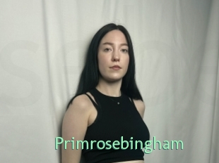 Primrosebingham