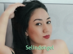 Selindongel