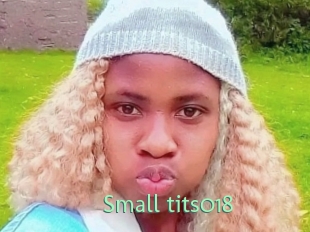 Small_tits018