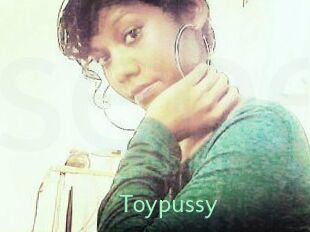 Toypussy