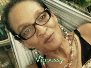 Vippussy