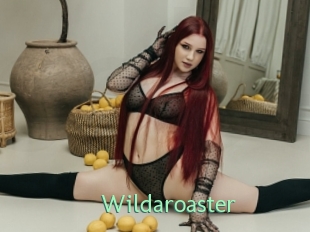 Wildaroaster