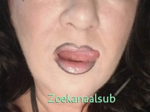 Zoekanaalsub